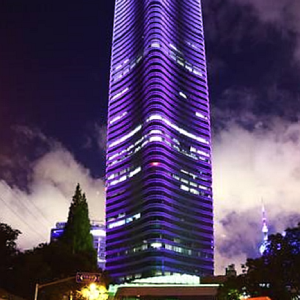 上海白玉蘭廣場鋼結構制造